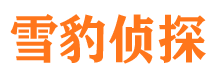 路南调查事务所